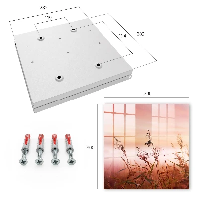 Grass at dawn Wall mounted key box
