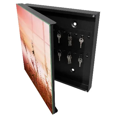 Grass at dawn Wall mounted key box