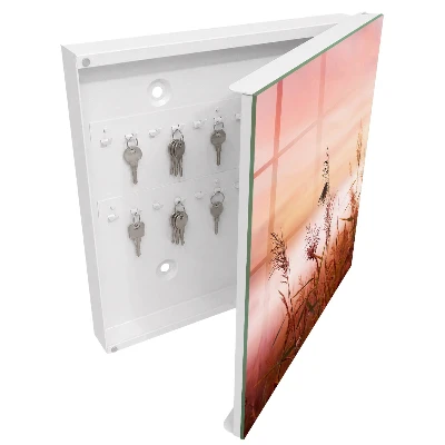 Grass at dawn Wall mounted key box