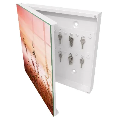 Grass at dawn Wall mounted key box