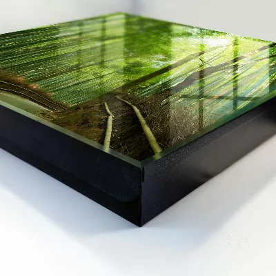 Bamboo path Key cabinet