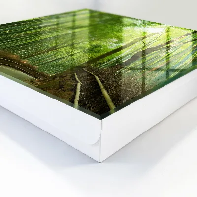 Key cabinet bamboo path design