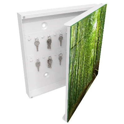 Key cabinet bamboo path design