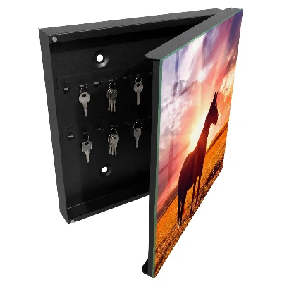 Horse in the sun Wall mounted key box