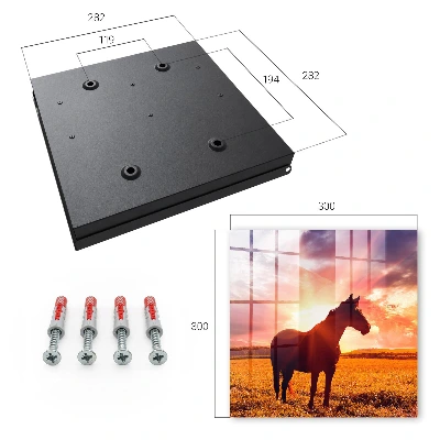Horse in the sun Wall mounted key box