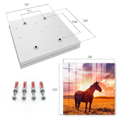 Horse in the sun Wall mounted key box