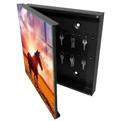 Horse in the sun Wall mounted key box