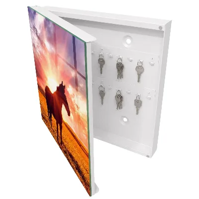 Horse in the sun Wall mounted key box