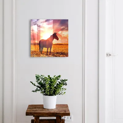 Horse in the sun Wall mounted key box