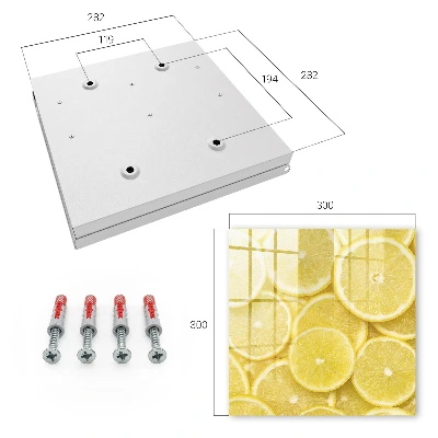 Lemon slices Wall mounted key box