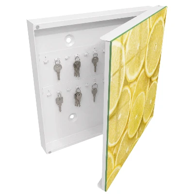 Lemon slices Wall mounted key box