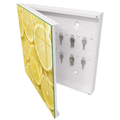 Lemon slices Wall mounted key box