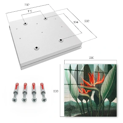 Exotic nature Key box for wall