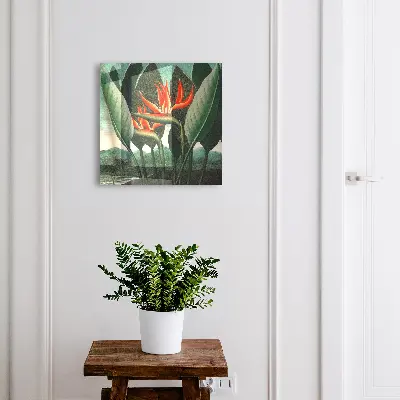 Exotic nature Key box for wall