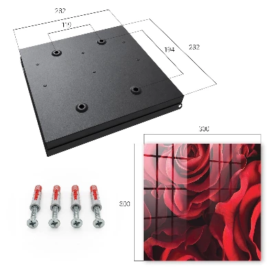 Red roses Wall mounted key box