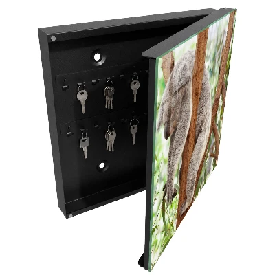 Koala relaxation Key cabinet