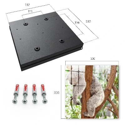 Koala relaxation Key cabinet