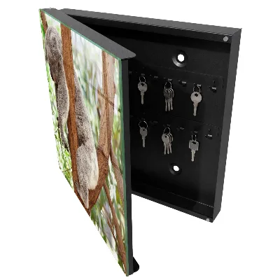 Koala relaxation Key cabinet