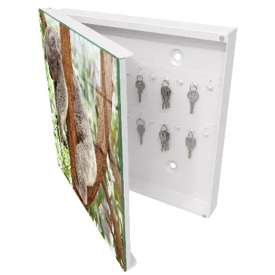 Koala relaxation Key cabinet