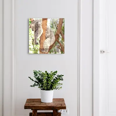 Koala relaxation Key cabinet