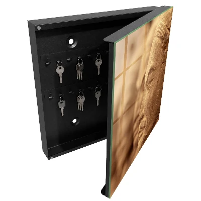 Historical sculpture Key box for wall