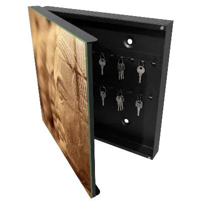 Historical sculpture Key box for wall