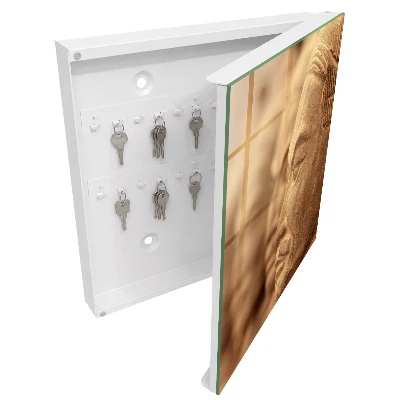 Historical sculpture Key box for wall