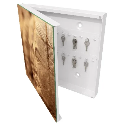 Historical sculpture Key box for wall
