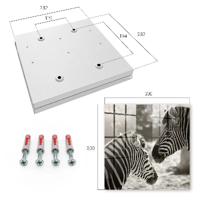 Zebras together Wall mounted key box