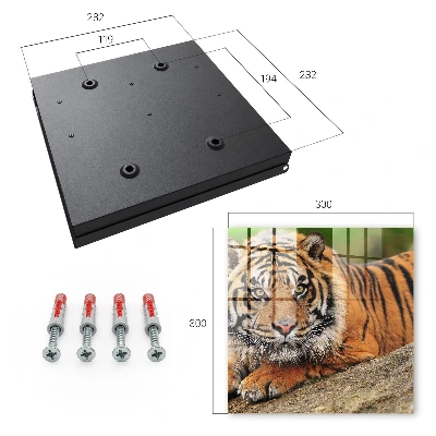 Tiger wall mounted key box with tiger resting print