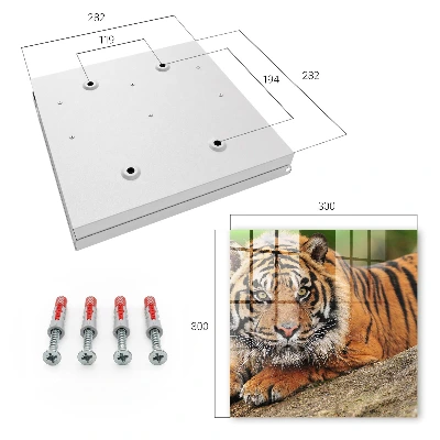 Tiger wall mounted key box with tiger resting print