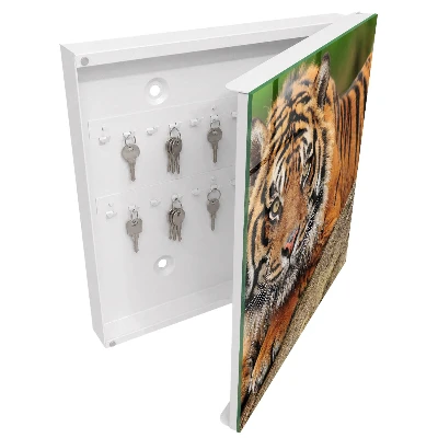 Tiger resting Wall mounted key box
