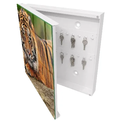 Tiger resting Wall mounted key box
