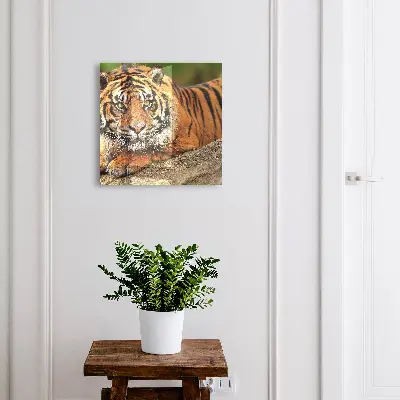 Tiger resting Wall mounted key box