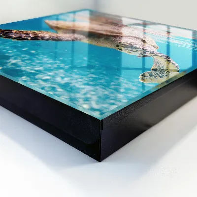 Underwater world key box wall mounted storage cabinet