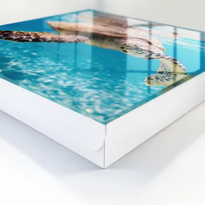 Underwater world key box wall mounted storage cabinet