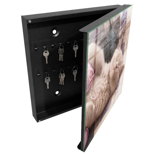 Sleeping kitten Key cabinet