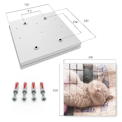 Key cabinet with sleeping kitten design
