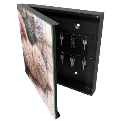 Sleeping kitten Key cabinet