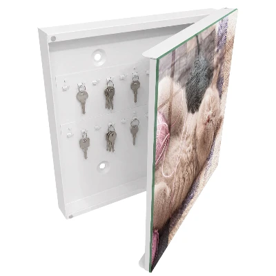 Sleeping kitten Key cabinet