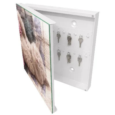 Sleeping kitten Key cabinet