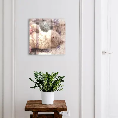 Sleeping kitten Key cabinet