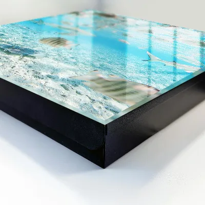 Aquatic life Key cabinet