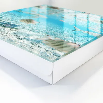Aquatic life Key cabinet