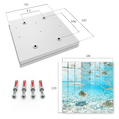 Aquatic life Key cabinet