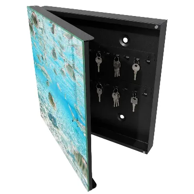 Aquatic life Key cabinet