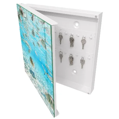 Aquatic life Key cabinet