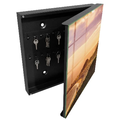 Key cabinet urban harmony design