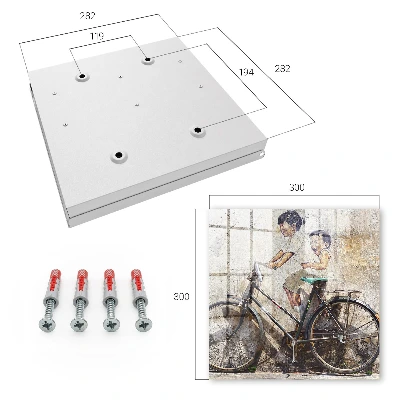 Children and a bicycle Key cabinet
