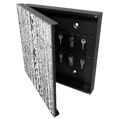 Birch forest Key cabinet